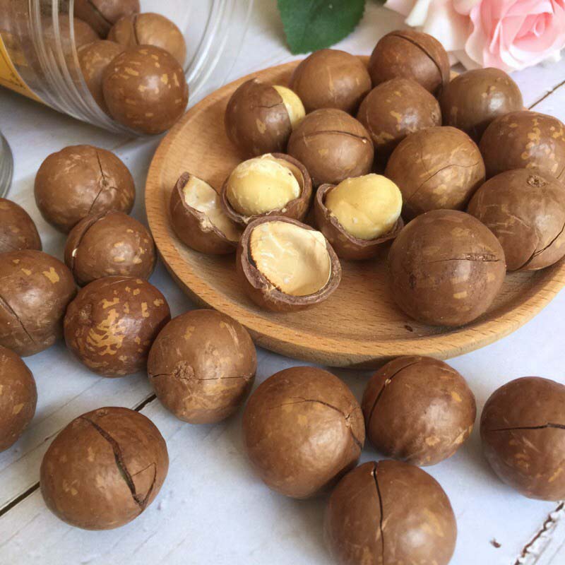 Hạt macca nứt vỏ Việt Nam