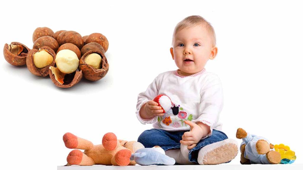 tác dụng của hạt macca với trẻ em