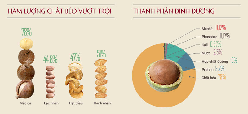Thành phần dinh dương của hạt macca