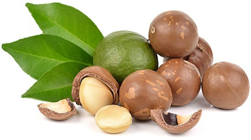 Nên ăn bao nhiêu hạt macca mỗi ngày?