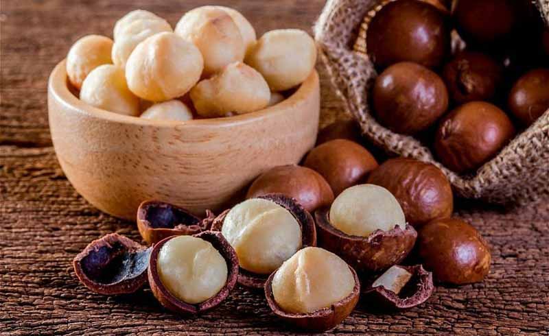 Hạt Macca là gì?