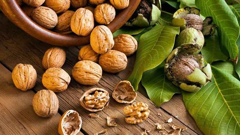 Hạt óc chó là gì?