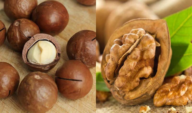 So sánh dinh dưỡng của hạt Macca và óc chó