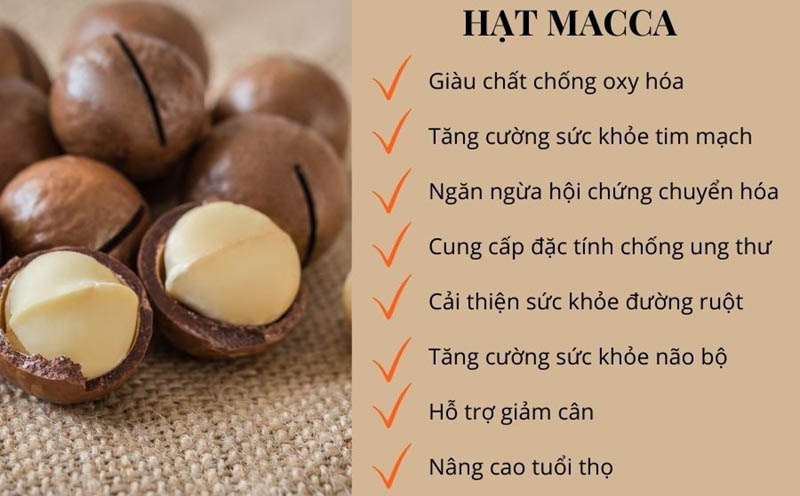 Lợi ích của hạt Macca