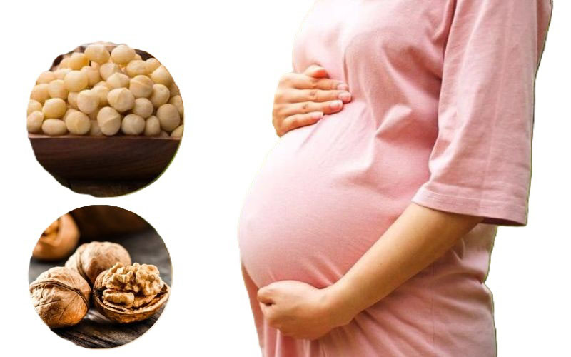 Tác dụng phụ và nguy cơ khi bà bầu ăn hạt Macca và óc chó