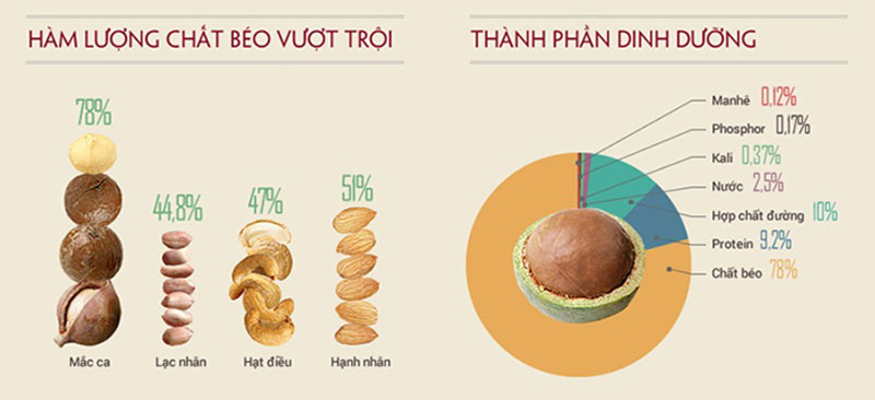 Thành phần dinh dưỡng