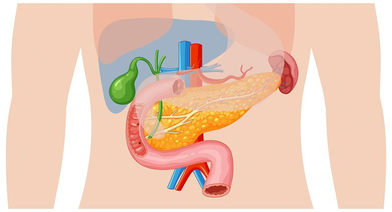 Vấn đề tiêu hóa