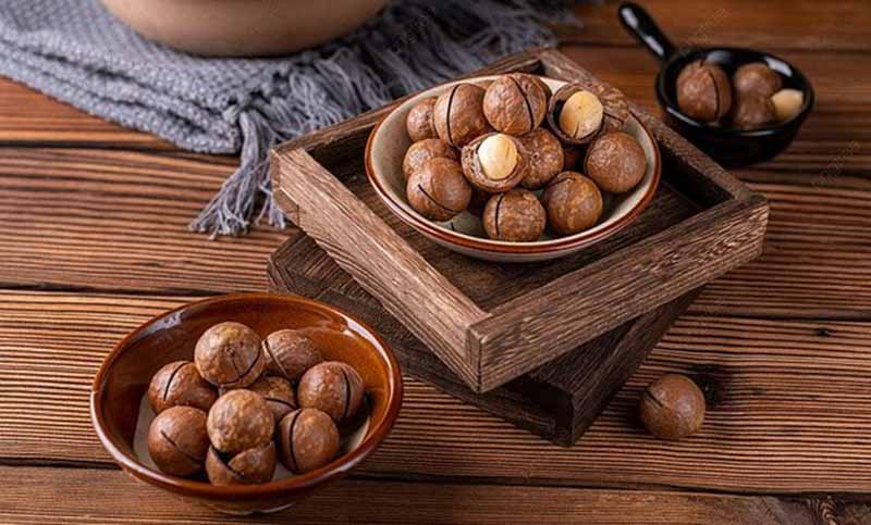Hạt macca là gì? Tổng quan về dinh dưỡng