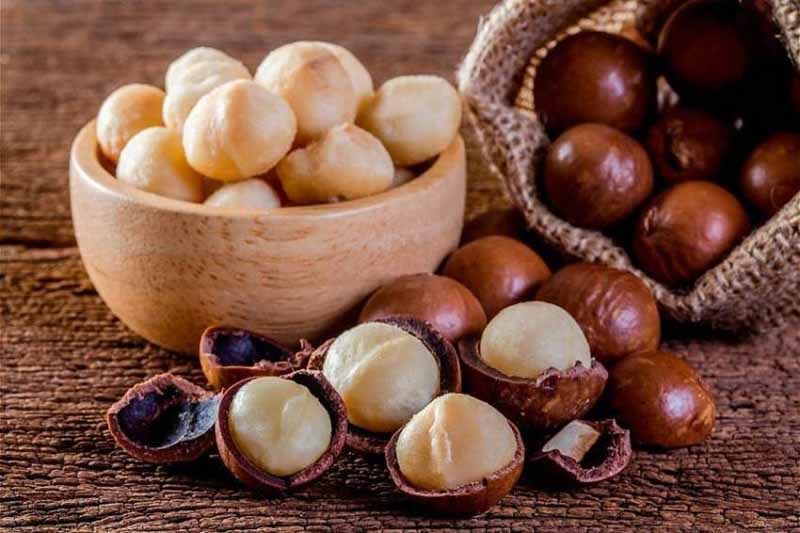 Cách bảo quản hạt macca đúng cách
