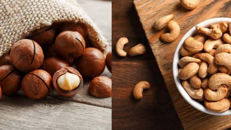 Mẹo làm sữa hạt điều macca thơm ngon, tiết kiệm