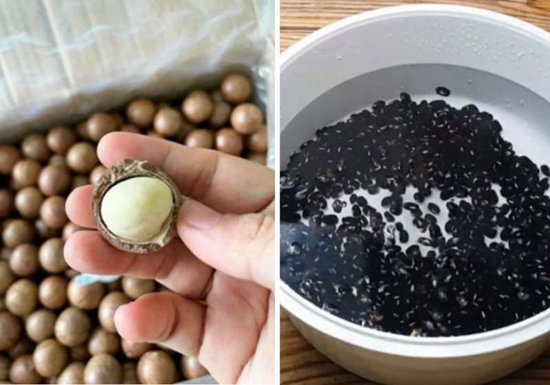 Lưu ý khi làm và uống sữa hạt macca đậu đen