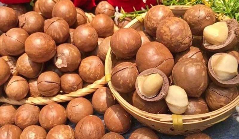 Mẹo chọn hạt mắc ca chất lượng tại Hà Nội