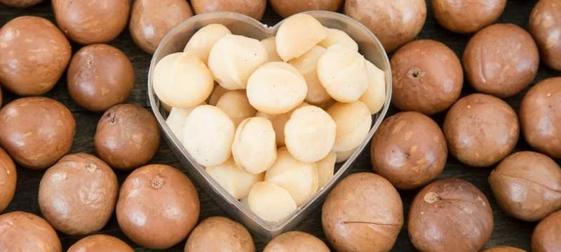 Giá trị dinh dưỡng hạt Macca