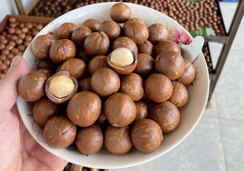 Lưu ý khi sử dụng hạt macca