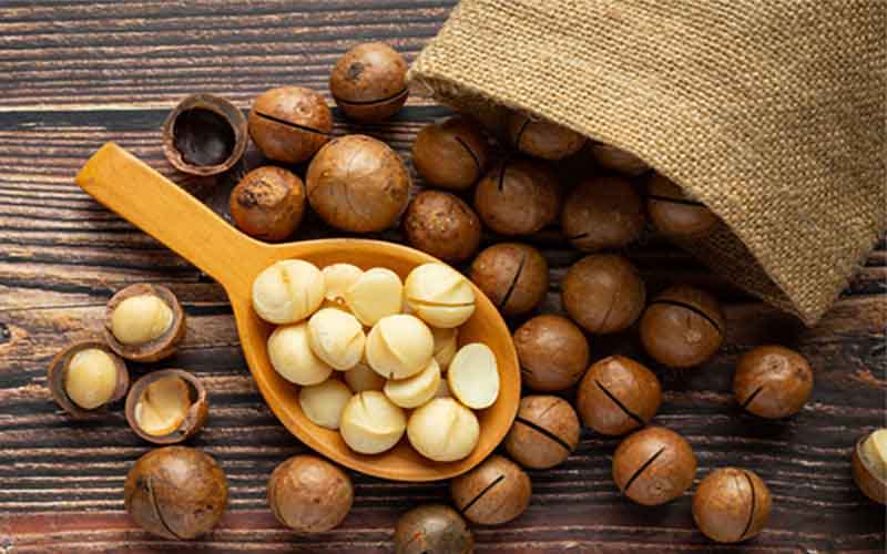 Mua hạt macca ở đâu HCM? Top địa chỉ uy tín & giá tốt 2025